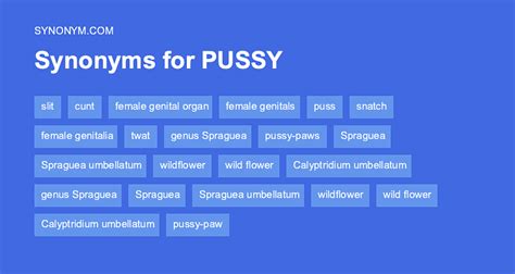 pussy synonyms|PUSSY Synonyms: 15 Similar Words 